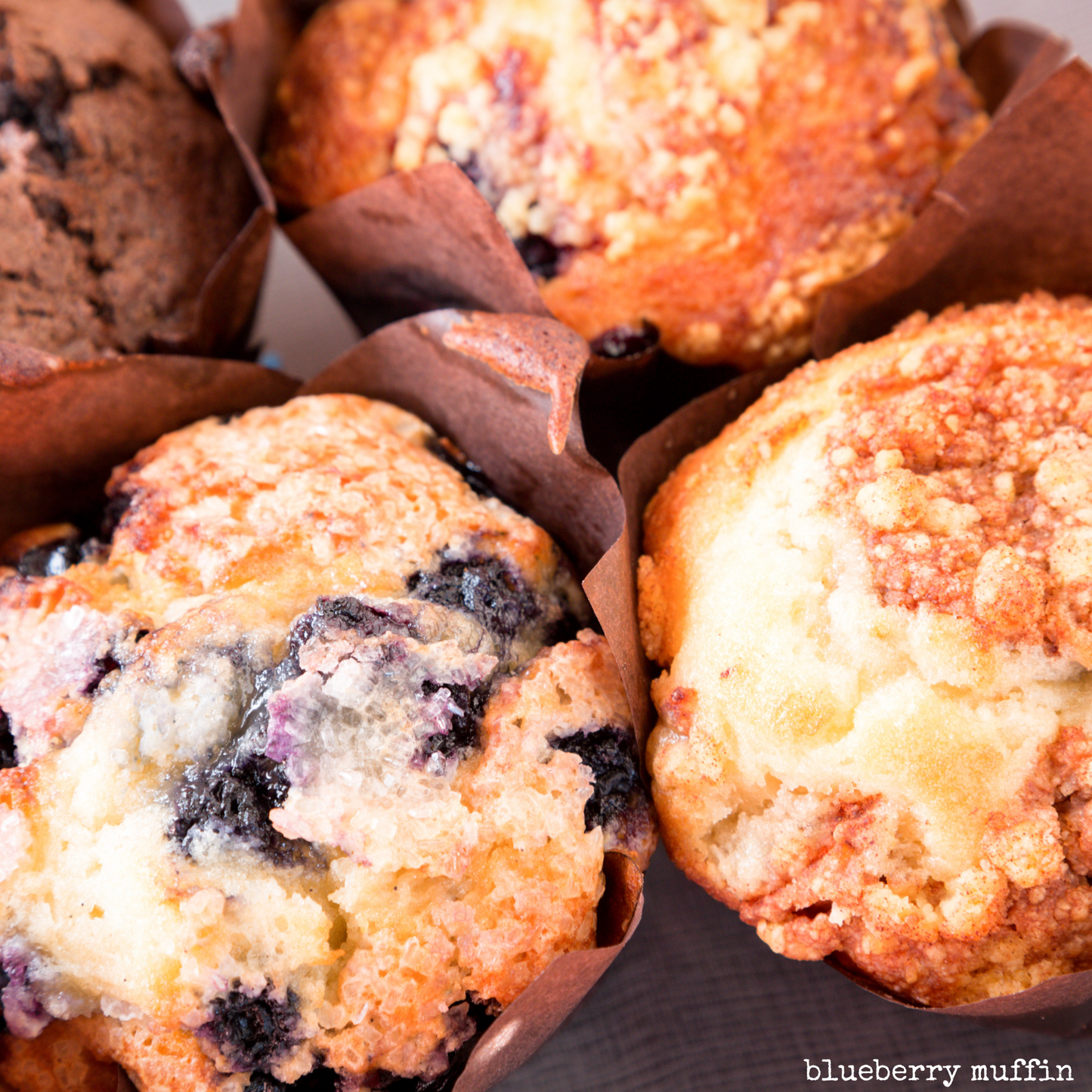 Blueberry Muffin